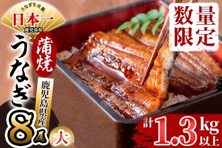 鹿児島県産 伊崎田のうなぎ蒲焼 大＜170g以上＞× 8尾(計1.3kg以上) うなぎ 鰻 ウナギ 国産 鹿児島県産 九州産 蒲焼き 冷凍 うな重 ひつまぶし e4-005
