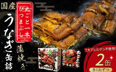 うなぎ缶詰 セット 計220g【蒲焼・ひつまぶし】 国産 うなぎ 蒲焼 鰻 塩鰻 ウナギ 海産物 ギフト 贈答 贈り物 おつまみ 備蓄 防災 食料 長期保存 非常食 食品 ／Esu-76