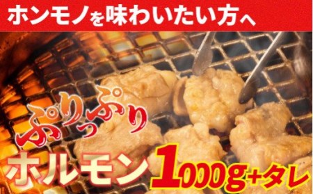 大人気焼肉屋さんのご家庭で簡単！モツ焼き肉セット1000g／Amu-03 焼肉 ビール牛焼肉 牛肉焼肉 ホルモン焼肉 国産焼肉