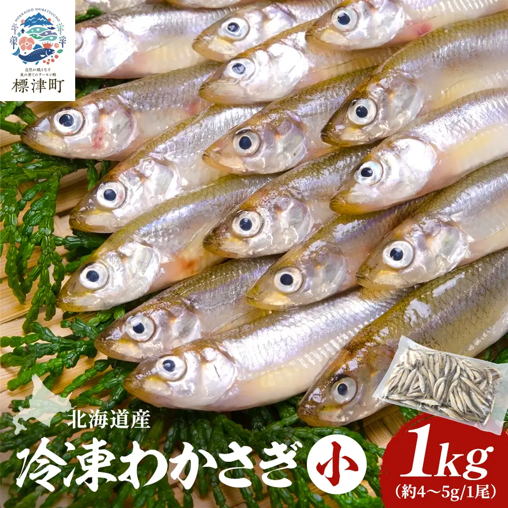 北海道産　冷凍わかさぎ(小)1kg【最大約8cm、重さ4?5g】　おすすめ　おいしい　天然【配送不可地域：離島】【AF020】