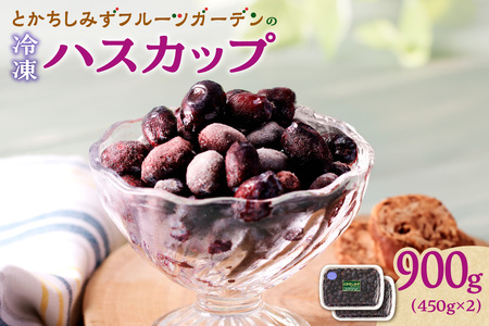 【2026年発送先行予約！】冷凍ハスカップ900g 北海道清水町（ハスカップ 450g×2）_S009-0016