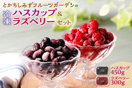【2026年発送先行予約！】とかちしみずフルーツガーデンのハスカップ&ラズベリーセット【 計750g 詰め合わせ 果物 フランボワーズ 木苺 生 ハスカップ ラズベリー ハスカップ 果物 フルーツ ジャム 冷凍果物 ハスカップ 冷凍ハスカップ 冷凍 お取り寄せ 北海道 清水町  】_S009-0017
