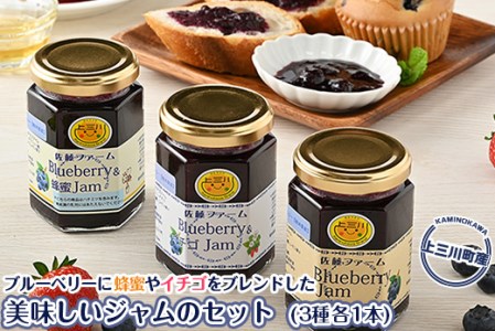 上三川産のブルーベリーに蜂蜜やイチゴをブレンドした美味しいジャムのセット(3種各1本) | 果物 フルーツ 国産 栃木県上三川町産 自家製ジャム 手作りジャム 無添加 保存料不使用 添加物不使用 減農薬