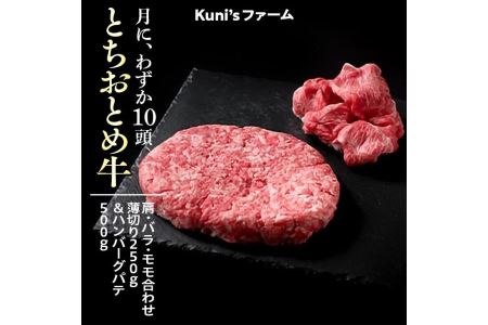 とちおとめ牛　肩・バラ・モモ合わせ薄切り250g＆ハンバーグパテ500gセット 牛肉 ハンバーグ