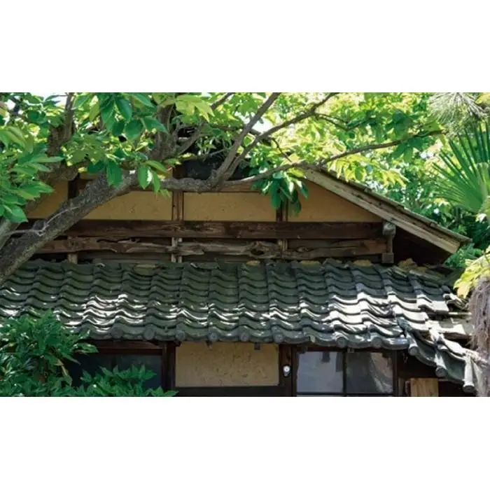 空き家建物の巡回管理（室内清掃なしコース）