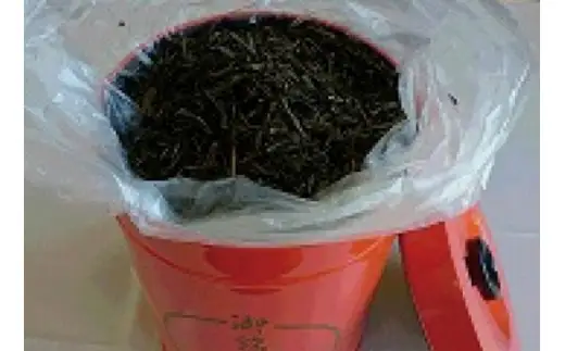 朝宮ほうじ茶 1本缶入