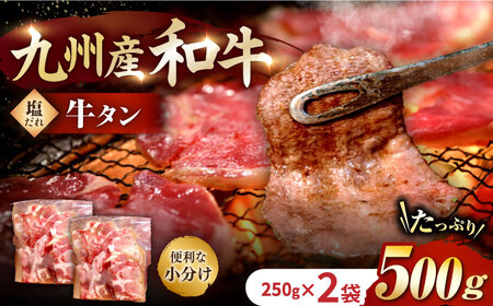 【塩だれ牛タン】九州産和牛の牛タン 500g（約250g×2パック）[EAX084] 冷凍 小分け