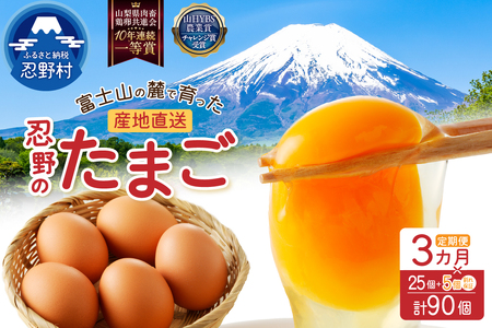 【3ヶ月定期便】”忍野の卵”コクの赤玉30個×3回 ※割れ保証含む 卵