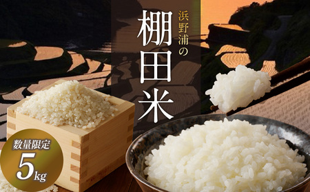 浜野浦の棚田米 5kg ／コシヒカリ 棚田米【B123】