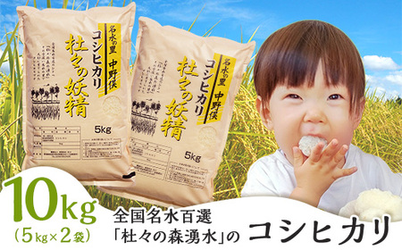 43-11杜々の妖精コシヒカリ10kg（5kg×2袋）全国名水百選栃尾産