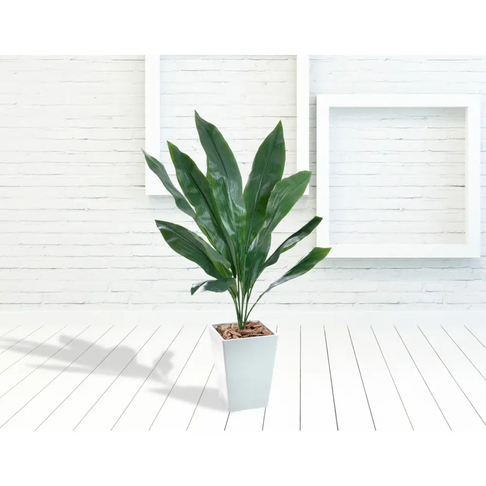 人工観葉植物　ハラン　白樹脂鉢Sサイズ付