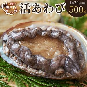 瀬戸内あわび（活）500g（1個70ｇ前後） | あわび 養殖 人気 香川 あわび 美味しい グルメ 海鮮 あわび 貝 人気 あわび 養殖 香川 四国 瀬戸内海