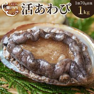 瀬戸内あわび（活）1kg（1個70ｇ前後） | あわび 養殖 人気 香川 あわび 美味しい グルメ 海鮮 あわび 貝 人気 あわび 養殖 香川 四国 瀬戸内海