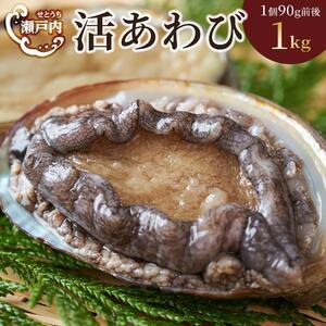 瀬戸内あわび（活）1kg（1個90ｇ前後） | あわび 養殖 人気 香川 あわび 美味しい グルメ 海鮮 あわび 貝 人気 あわび 養殖 香川 四国 瀬戸内海