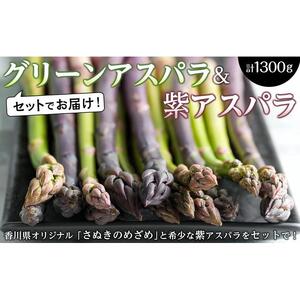 グリーンアスパラ & 紫アスパラ セット 約1.3kg ( グリーンアスパラガス約800g & 紫アスパラガス約500g ) 坂出市産｜アスパラガス
