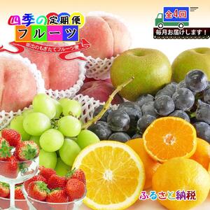 【定期便4回】創業100年 産直あきんど四季のフルーツの定期便《4ヶ月連続でお届け》