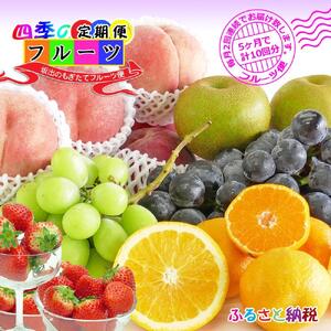 【定期便10回】創業100年 産直あきんど四季のフルーツの定期便《月2回×5ヶ月連続でお届け》
