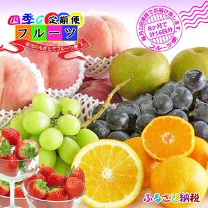 【定期便16回】創業100年 産直あきんど四季のフルーツの定期便《月2回×8ヶ月連続でお届け》
