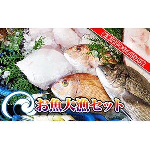 【瀬戸内海産】創業100年の魚屋さんが選び抜いた旨い鮮魚直送便～【配送不可地域：北海道・東北地方・沖縄・離島】