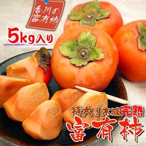 一度は食べたい香川産の完熟富有柿の詰め合わせ約5kg