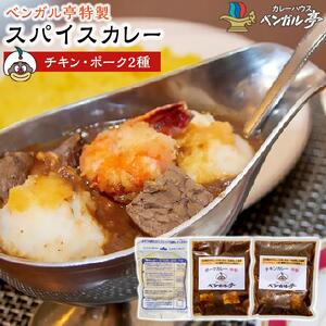 B ベンガル亭特製スパイスカレー！（チキン・ポーク2種セット）