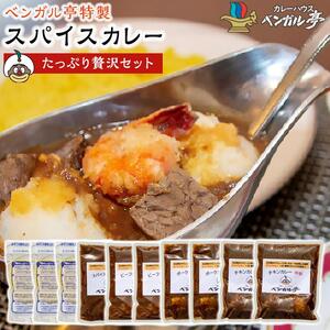 D ベンガル亭特製スパイスカレー！（たっぷり贅沢セット）