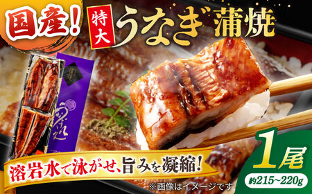 うなぎ うなぎ老舗専門店のパリっとふっくら国産うなぎ 蒲焼1尾(蒲焼のタレ付き) 島根県松江市/株式会社山美世商会[ALDC003] うなぎ うなぎ