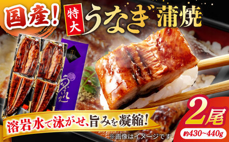 うなぎ うなぎ老舗専門店のパリっとふっくら国産うなぎ 蒲焼2尾(蒲焼のタレ付き) 島根県松江市/株式会社山美世商会[ALDC001] うなぎ うなぎ