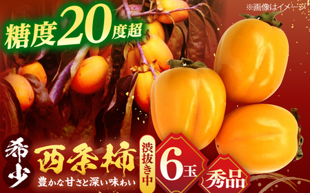 柿 【先行予約】【40個限定】【秀品】 とろ?り甘さの極み！合わせ柿 6玉 島根県松江市/マルカミ農縁株式会社 [ALCM003] 柿 柿