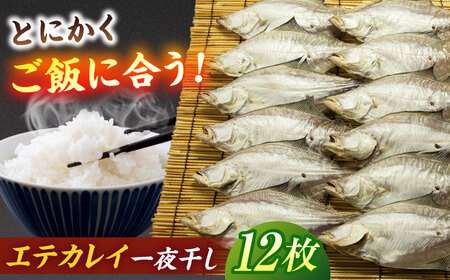 干物 ほかほかのご飯にぴったり！恵曇エテカレイ一夜干しセット×12尾 島根県松江市/有限会社丸三商店 [ALCP003] 干物 干物