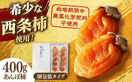 柿 【先行予約】【数量限定15箱】【2026年12月より順次配送】宝箱のあんぽ柿 島根県松江市/有限会社宝箱[ALBI015] 
