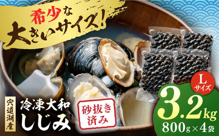 しじみ 宍道湖産 冷凍大和しじみ 砂抜き済 Lサイズ800g×4袋(3.2kg) 島根県松江市/しじみ市場株式会社[ALDK004] しじみ しじみ