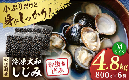 しじみ 砂抜き済 Mサイズ800g×6袋(4.8kg) 島根県松江市/しじみ市場株式会社[ALDK001] しじみ しじみ