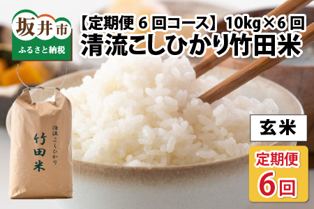 【先行予約・令和8年産新米】 【6ヶ月連続お届け】清流こしひかり 竹田米 10kg × 6回 計60kg （玄米） 【2026年9月下旬以降順次発送予定】 [N-7403_02]