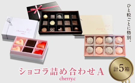 cherry.ｃ ショコラ 詰め合わせA