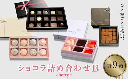 cherry.ｃ ショコラ 詰め合わせB
