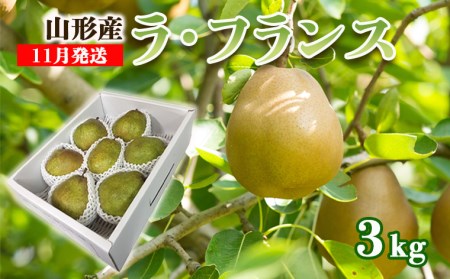 山形のラ・フランス 秀 約3kg(6～9玉 3L～6L)[11月発送]【令和8年産先行予約】 FS25-778