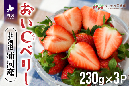 【今が旬！】北海道浦河産いちご「おいCベリー」230g×3P[13-1127]