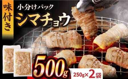 【塩だれ】九州産和牛 ホルモン シマチョウ 500g（250g×2袋）長与町/岩永ホルモン [EAX100] 和牛 ホルモン