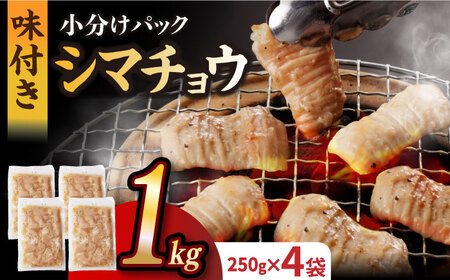 【塩だれ】九州産和牛 ホルモン シマチョウ 1kg（250g×4袋）長与町/岩永ホルモン [EAX104] 冷凍 ホルモン 和牛