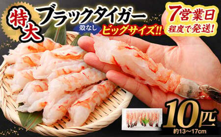 特大 ブラックタイガー 殻なし ビッグサイズ （10匹） 【入金確認後7営業日程度で発送】｜ エビ えび 海老 ブラックタイガー むきえび むきエビ 冷凍