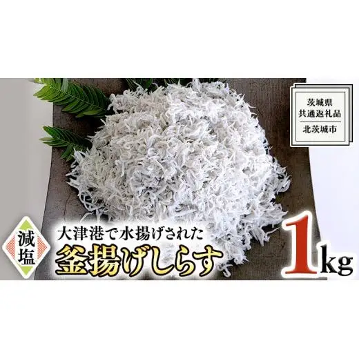 大津港水揚げの 釜揚げしらす １kg （茨城県共通返礼品：北茨城市）