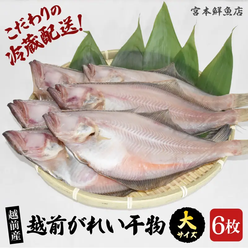 【先行予約】「冷蔵直送」 干物 熟成の旨味  越前産赤かれい (大）6枚【2026年9月以降順次発送】 魚 [e43-a004]