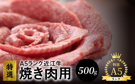 A5ランク 特選近江牛 焼き肉用 500g入 特選 近江牛 A5ランク 500g 霜降り 焼肉用  CY-0005
