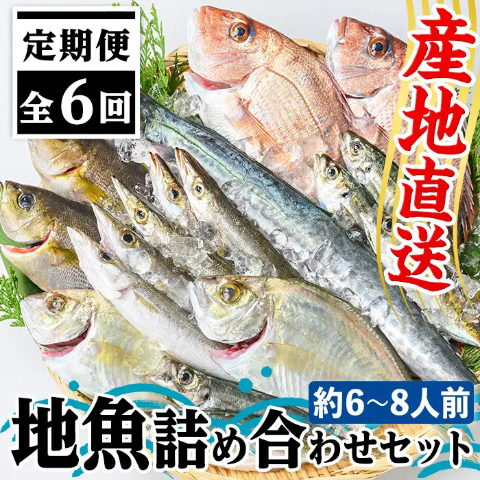 【E09001】【6回定期便】魚屋さんの選んだ新鮮お魚詰め合わせ(約6～8人分) 鹿児島 国産 九州産 産直 産地直送 鮮魚 新鮮 魚 海産物 お刺身 煮つけ 焼き魚【マルケイ水産】