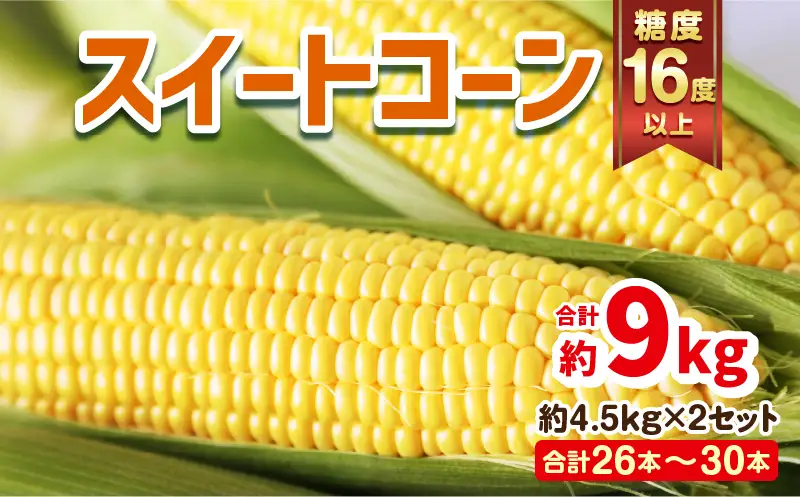 宮崎県産 スイートコーン 約9kg（約4.5kg×2箱）