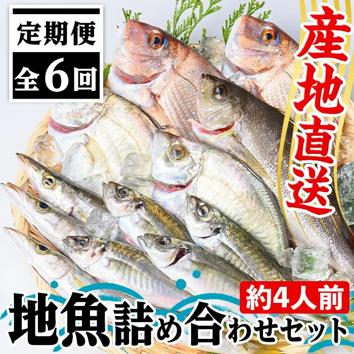 【D09001】【6回定期便】魚屋さんの選んだ新鮮お魚詰め合わせ(約4人分) 鹿児島 国産 九州産 産直 産地直送 鮮魚 新鮮 魚 海産物 お刺身 煮つけ 焼き魚【マルケイ水産】