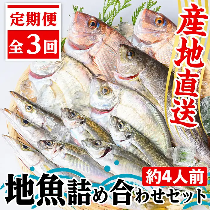 【C09002】【3回定期便】魚屋さんの選んだ新鮮お魚詰め合わせ(約4人分) 鹿児島 国産 九州産 産直 産地直送 鮮魚 新鮮 魚 海産物 お刺身 煮つけ 焼き魚【マルケイ水産】