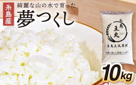 糸島産 夢つくし 10kg　糸島市 / 糸島王丸農園 ( 谷口汰一 ) /いとしまごころ [AAZ005]