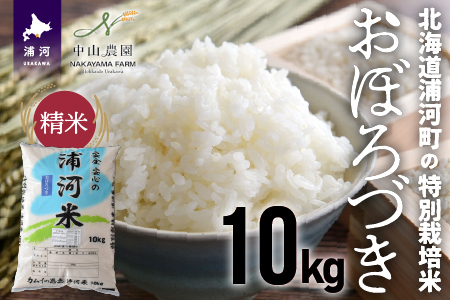 北海道浦河町の特別栽培米「おぼろづき」精米(10kg×1袋)[37-1133]